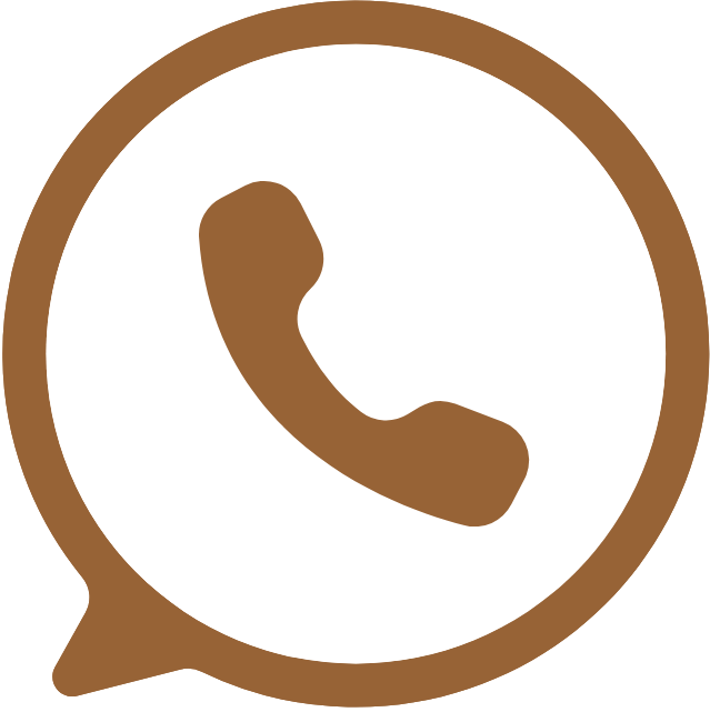 WhatsApp icon